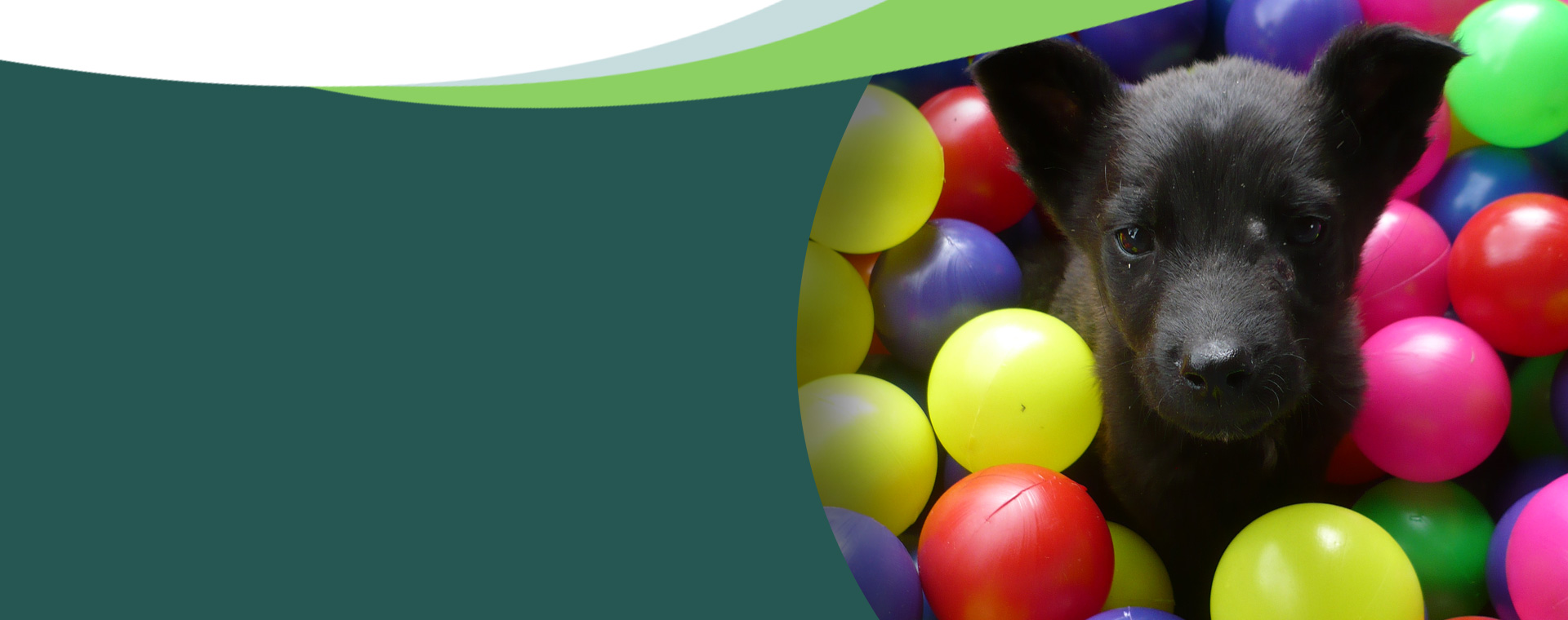 Su bienestar y felicidad lo es todo para nosotros