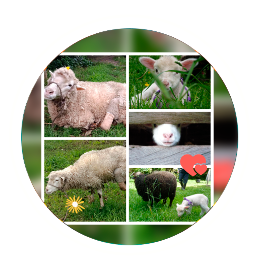 Sobrecarga de Ternura