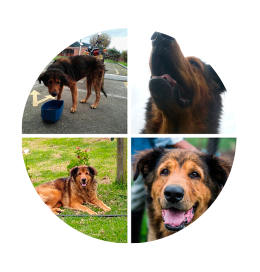 Despedida de Nuestro Querido Amigo Beto