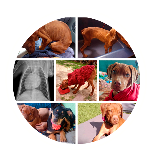 Malala, o cómo convertimos lágrimas de compasión en lágrimas de alegría