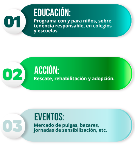 Lo que hacemos paso a paso