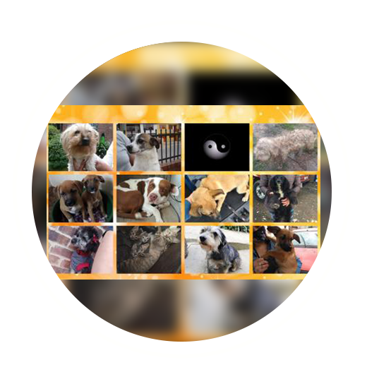 They are more than numbers